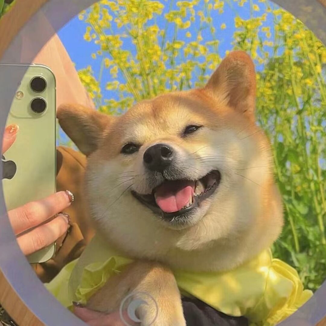 汽水不加冰吖